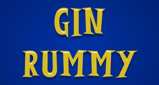 1-1-gin-rummy-480-260-325x175sw