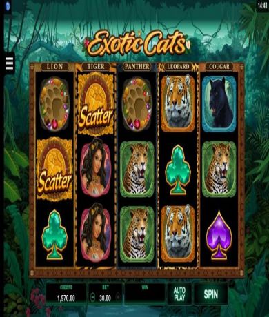 Spela på Exotic Cats online slot från Microgaming gratis | Casino Sverige