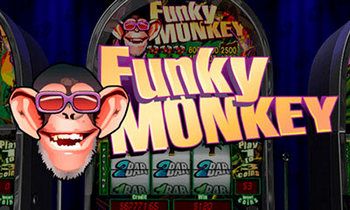 Funky Monkey - bild