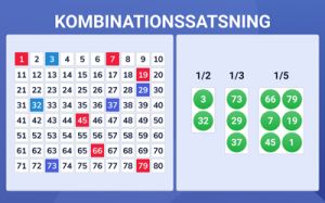 Kombinationssatsning