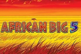 African Big 5 recension