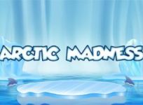Arctic Madness recension