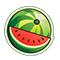 vattenmelon-60x60s