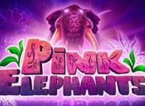 Pink Elephants recension