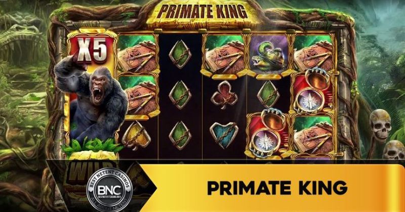 Spela på Primate King slot online från Red Tiger gratis | Casino Sverige