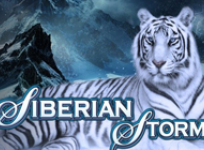 Siberian Storm recension