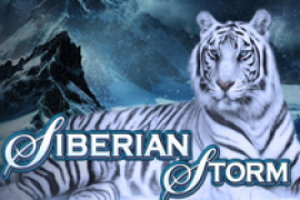 siberian storm logo