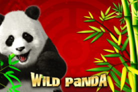Wild Panda recension