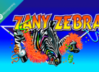 Zany Zebra recension