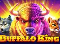 Buffalo King Megaways recension