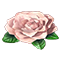 Rosenrött
