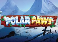 Polar Paws recension