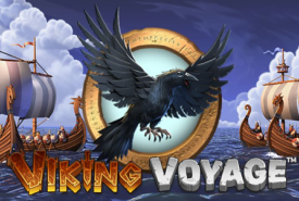 Viking Voyage recension