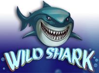Wild Shark recension