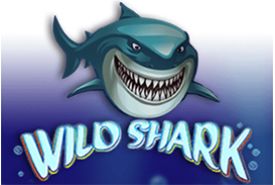 Wild Shark recension