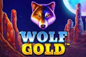 Wolf Gold recension